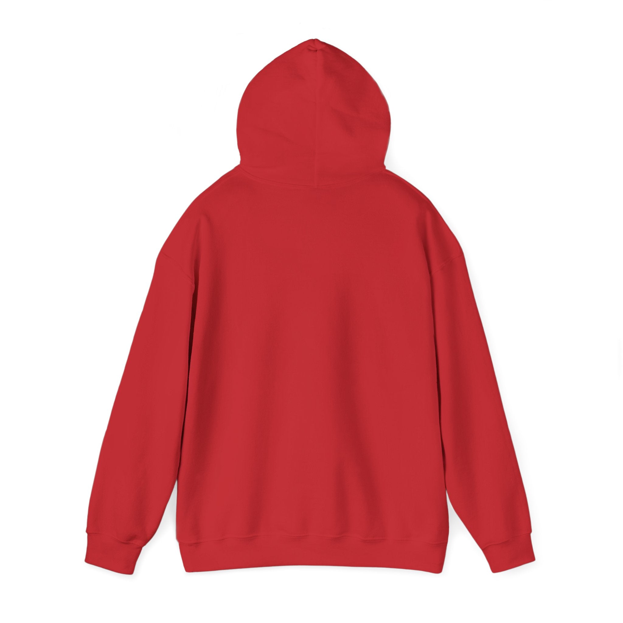 Brazil Christ the Redeemer Classic Hoodie
