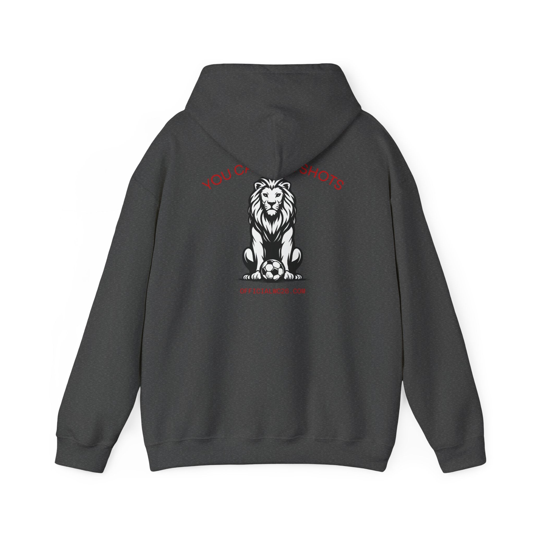 England Lion Statement Hoodie