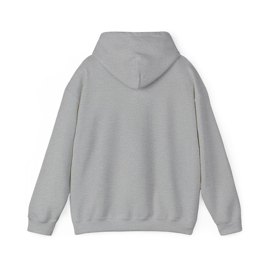 Brazil Christ the Redeemer Classic Hoodie