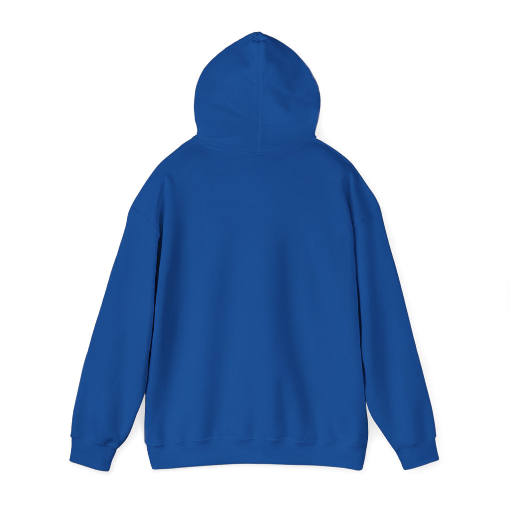 Brazil Christ the Redeemer Classic Hoodie