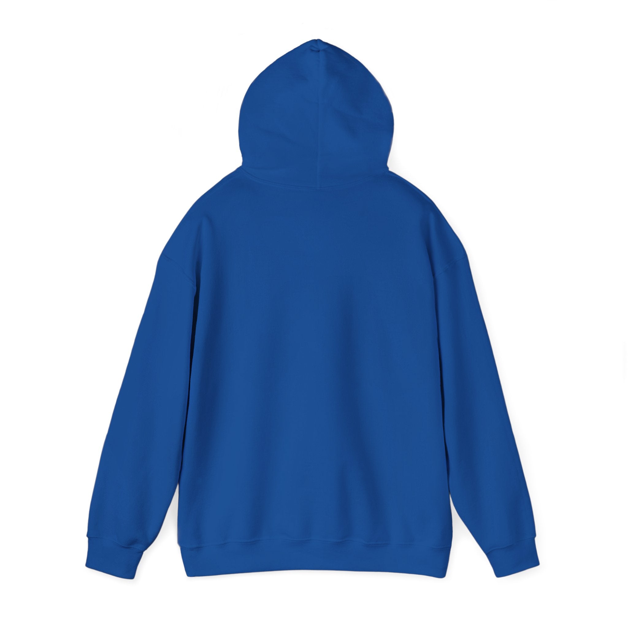 Brazil Christ the Redeemer Classic Hoodie