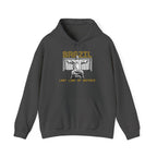 Brazil Christ the Redeemer Classic Hoodie