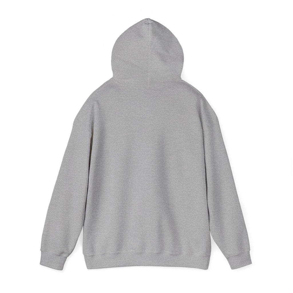 Brazil Christ the Redeemer Classic Hoodie