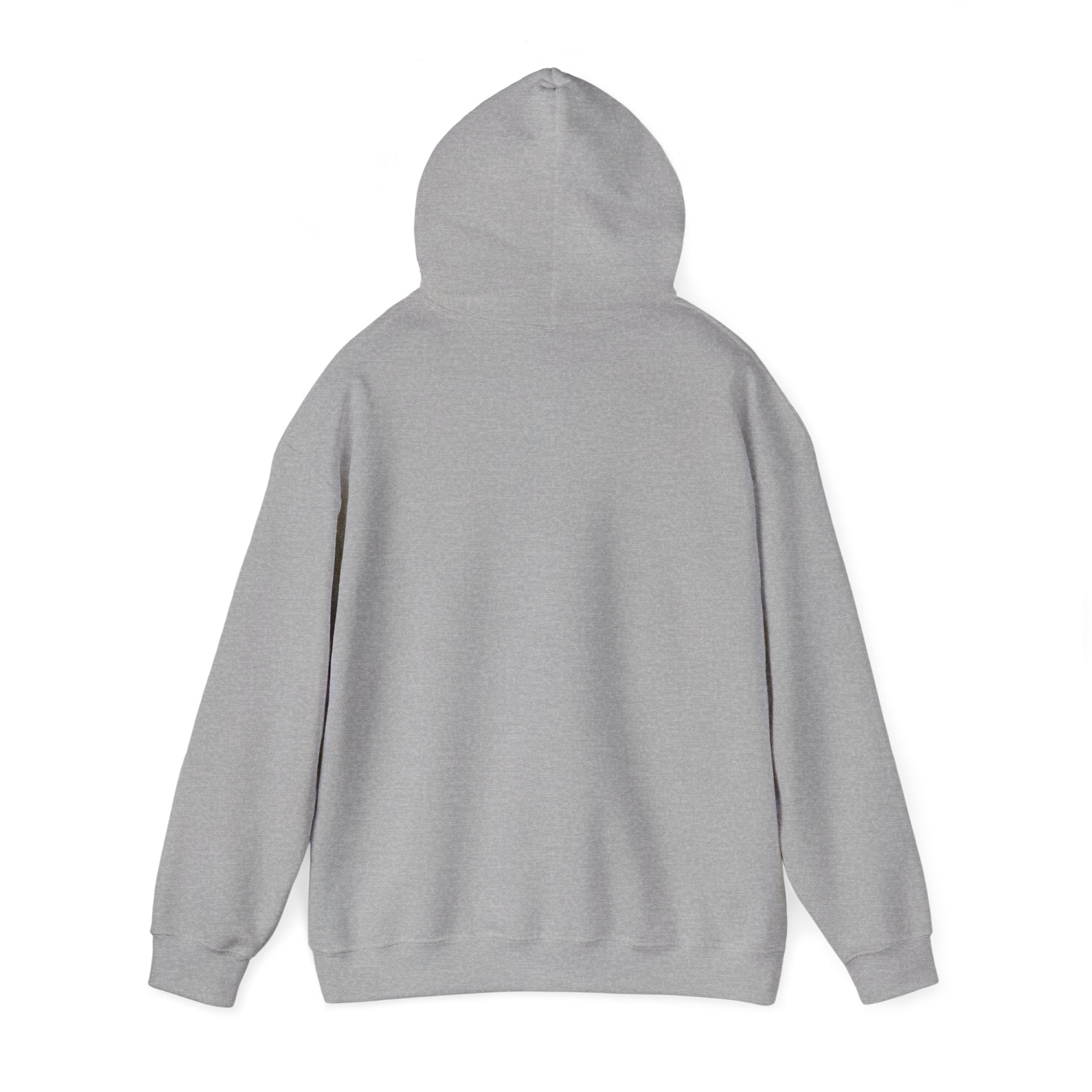 Brazil Christ the Redeemer Classic Hoodie
